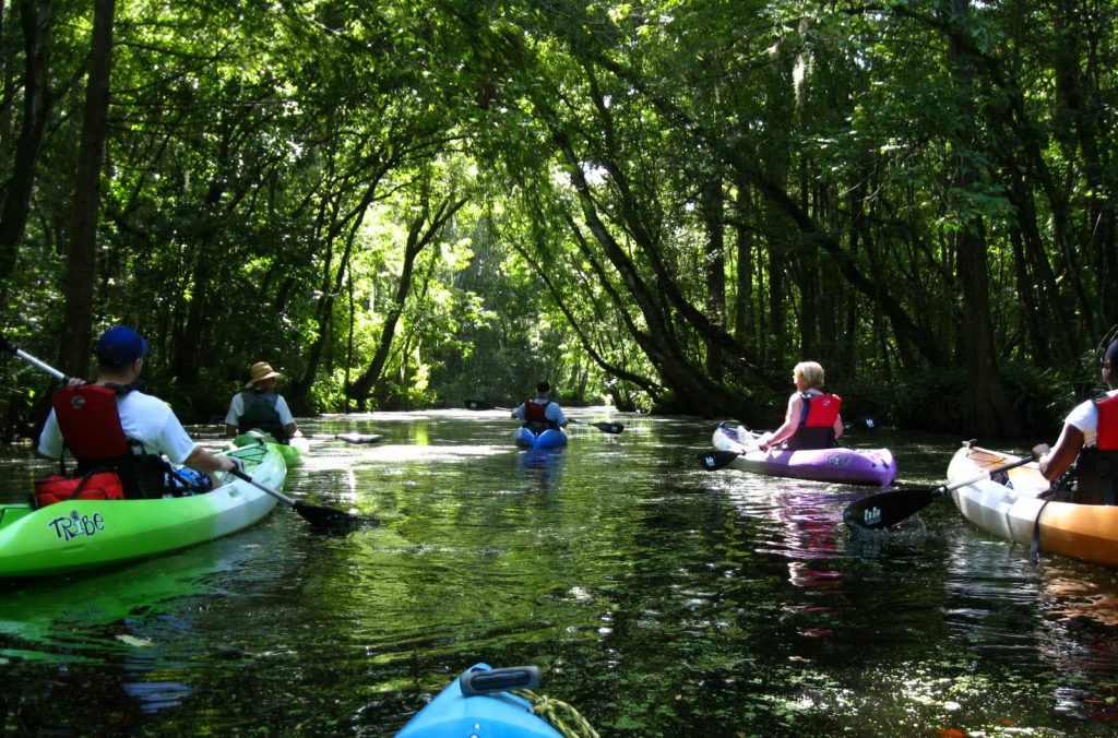 Central Florida Kayak Tour