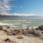 Andrea Schaffer – Kaikoura