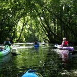 Central Florida Kayak Tour