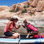 ISLE Airtech 10′ All Around Inflatable Stand Up Paddle Board – dogs on the water